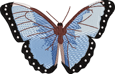 Blue Morpho Butterfly-Blue Morpho Butterfly, butterflies, insects, machine embroidery
