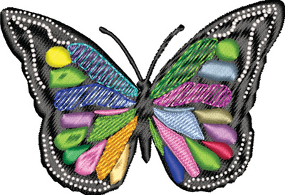 Butterfly of Many Colors-Butterfly of Many Colors